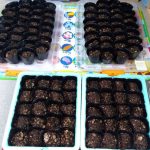 北見の気温2025/04/21