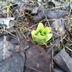 北見の気温2025/04/07