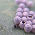 北見の気温2025/07/18