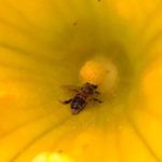 北見の気温2025/08/18