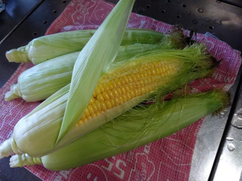 収穫したトウモロコシの画像です