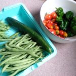 北見の気温2025/08/24