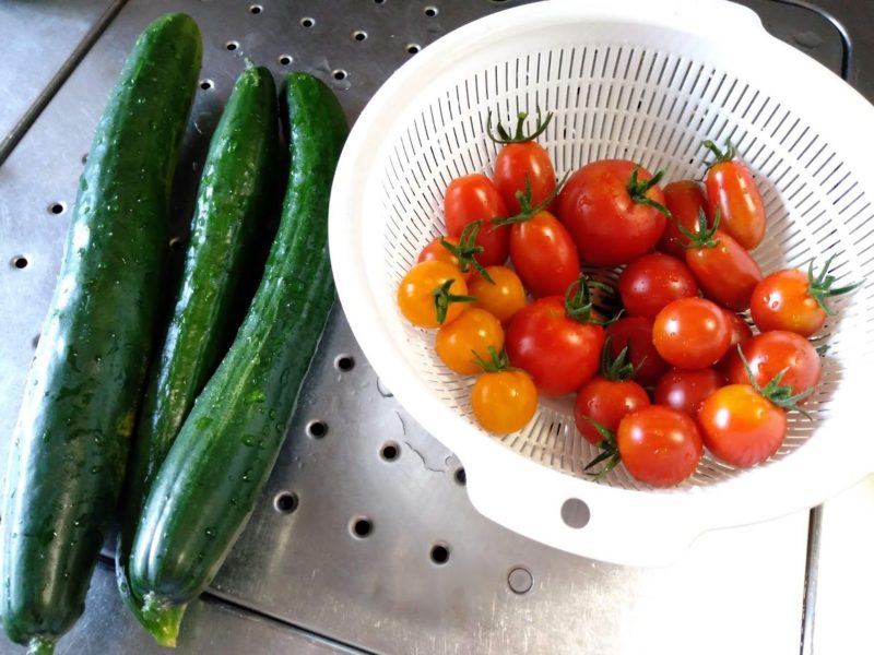 収穫したキュウリとミニトマトの画像です