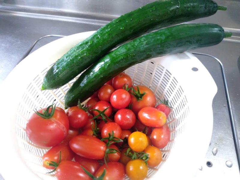 収穫した野菜の画像です