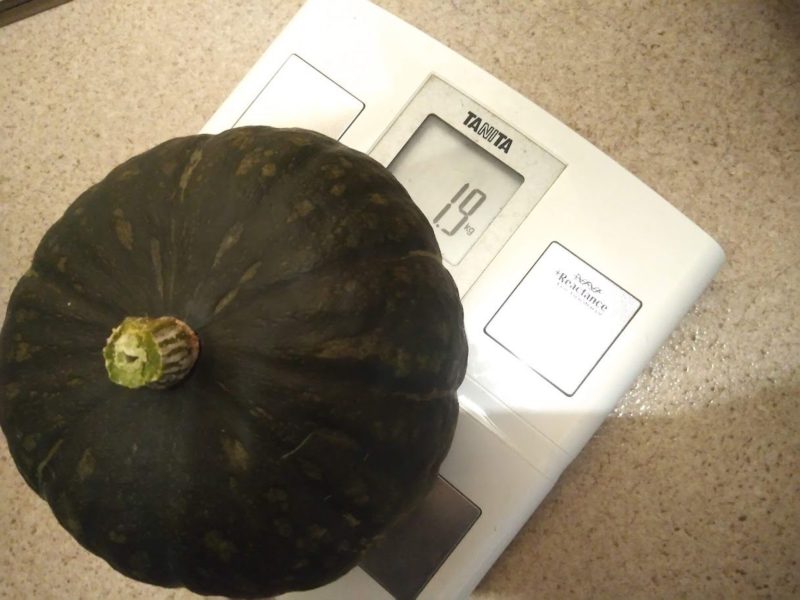 体重計に載せたカボチャの画像です