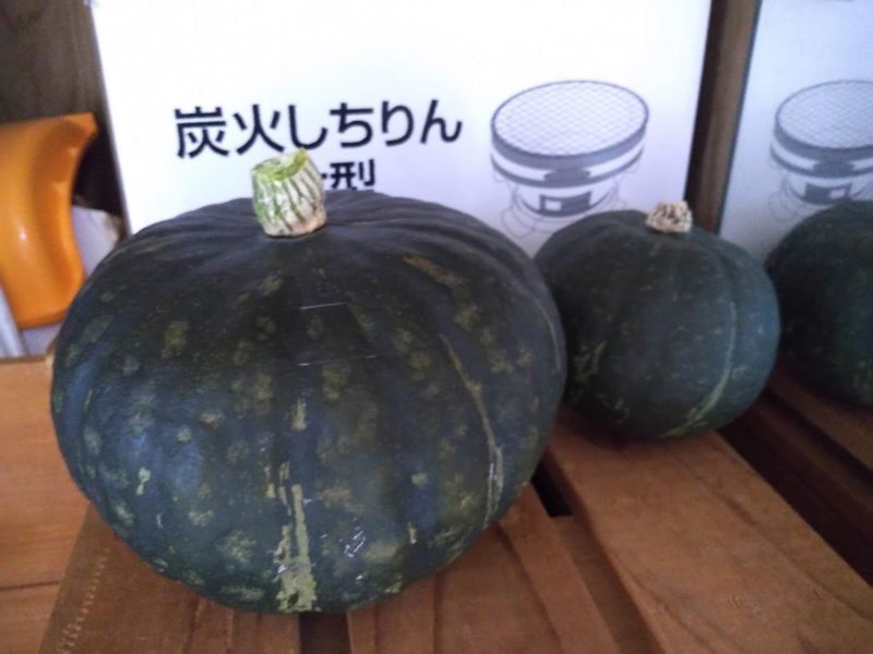 以前収穫したカボチャと並んだ画像です