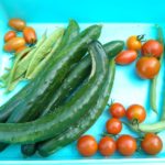 北見の気温2025/09/16