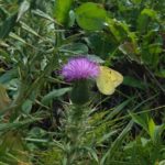 北見の気温2025/09/03