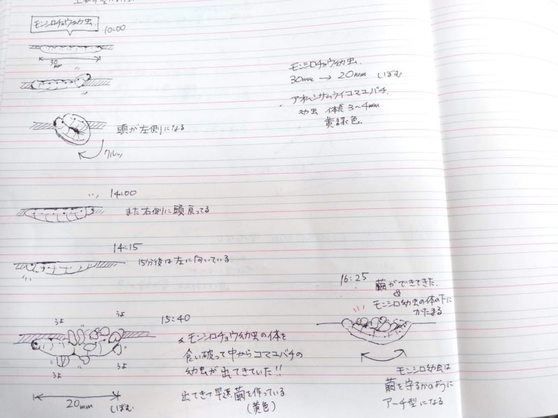 一部始終のメモの画像です