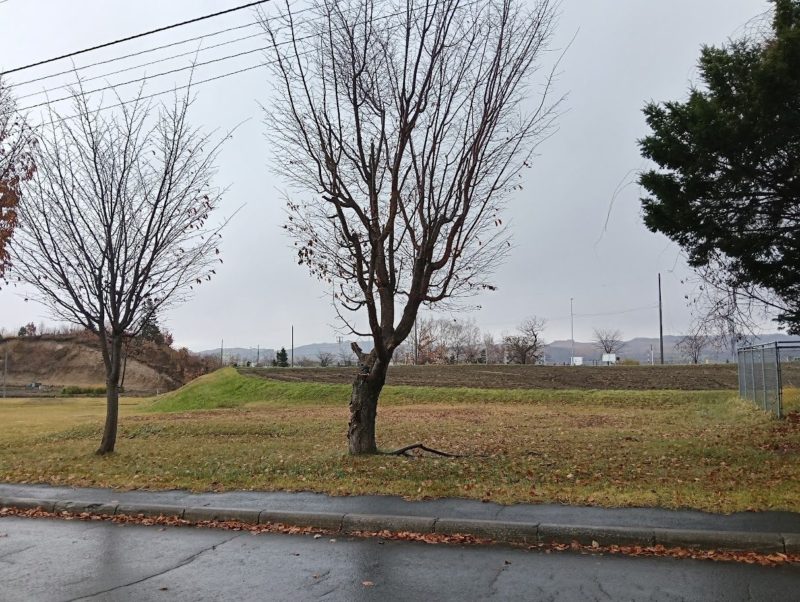 小雨の中のカーリングホール付近の画像です