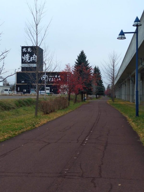 昨年の高架下の遊歩道の景観の画像です