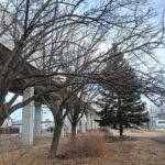 北見の気温2025/11/24