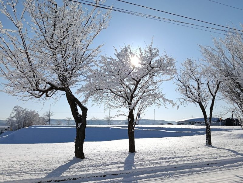 北見カーリングホール付近の画像です