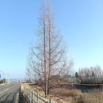 北見の気温2025/12/01