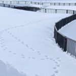 北見の気温2025/12/20