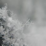 北見の気温2026/01/18