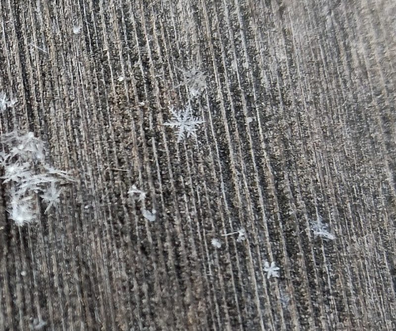 ベンチに舞い降りた雪の結晶の画像です