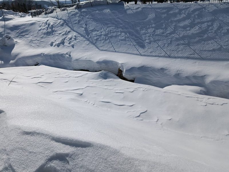 雪の上の風紋の画像です