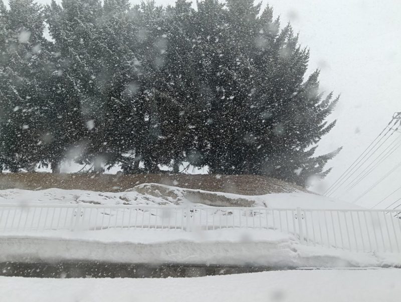 雪の中の北見工業大学前の画像です