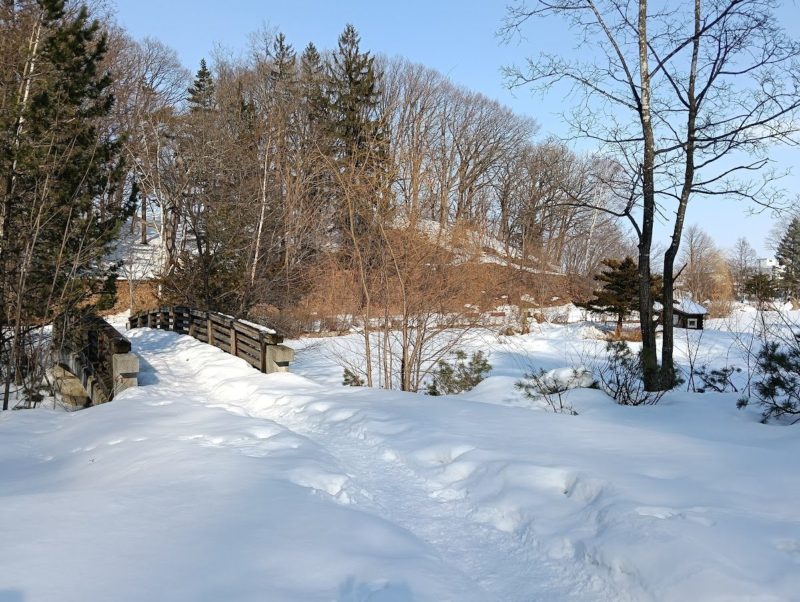 斜面の雪が溶けている野付牛公園内の画像です