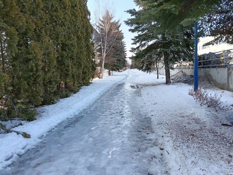ツルツルの氷部分とシャーベット部分が合わさった遊歩道の画像です