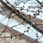 北見の気温2026/02/27