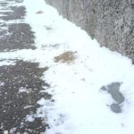 北見の気温2026/02/03