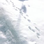 北見の気温2026/02/04