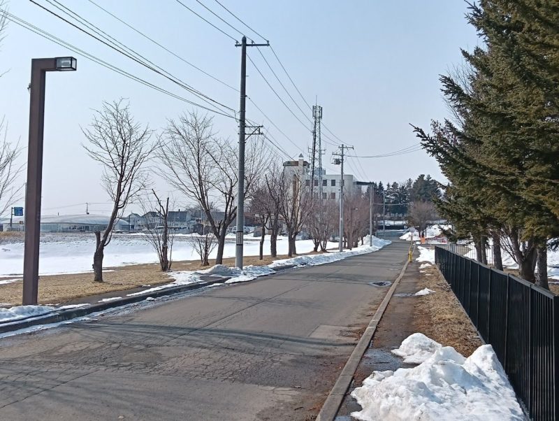 だいぶ雪が溶けたカーリングホール付近の画像です