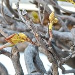 北見の気温2026/03/25