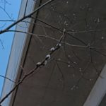 北見の気温2026/04/01