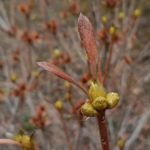 北見の気温2026/04/02