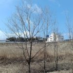 北見の気温2026/04/03